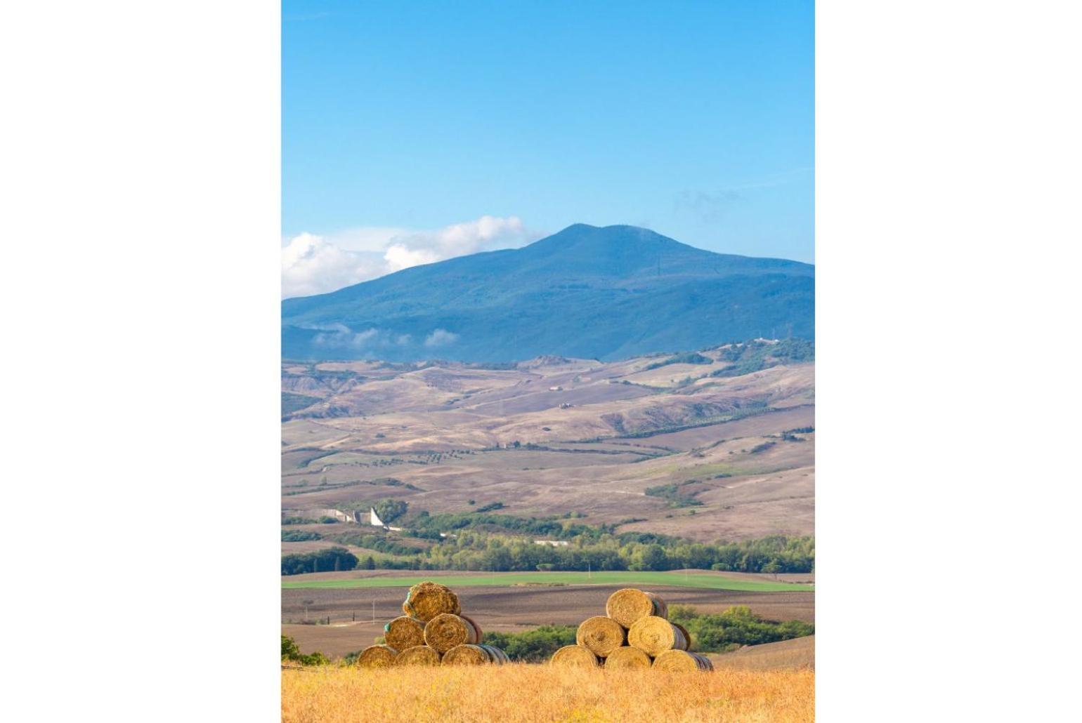 Villa Podere Belvedere Сиена Экстерьер фото