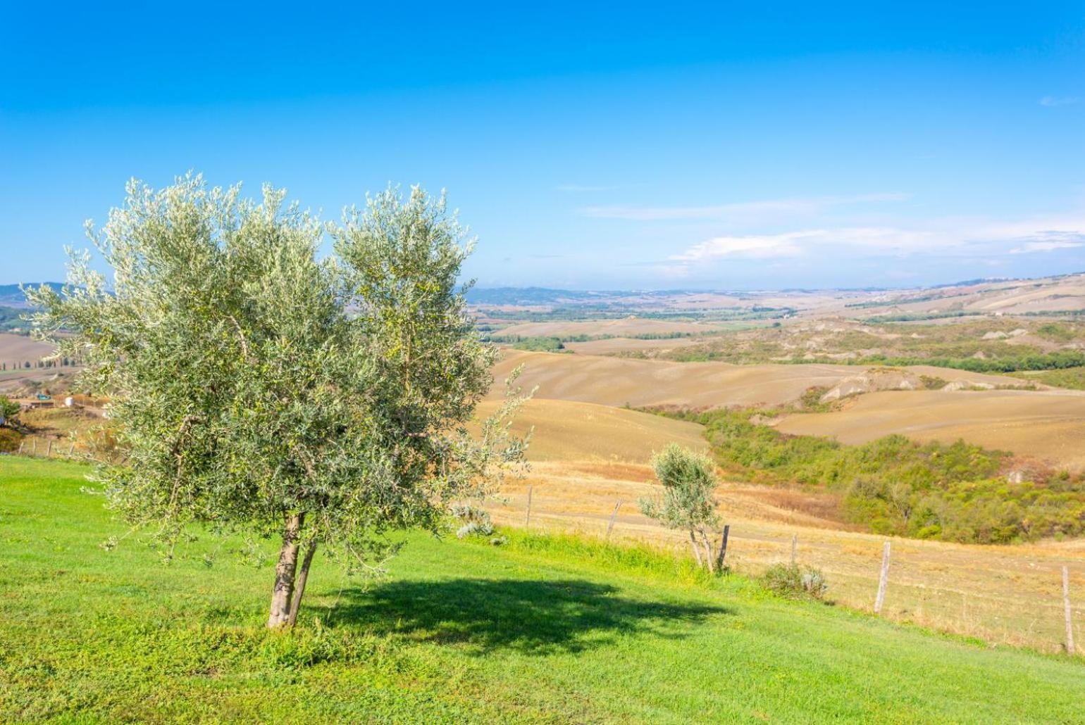 Villa Podere Belvedere Сиена Экстерьер фото
